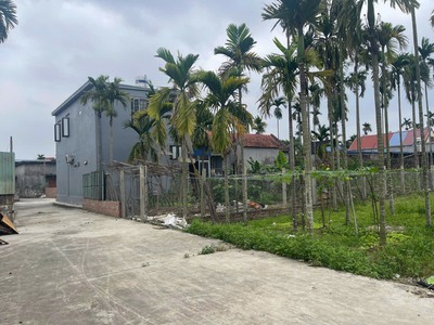 Bán Đất Hoa Động, Thuỷ Nguyên, 60m2, Ngõ oto, Giá 790tr 2