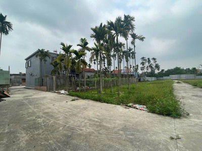 Bán Đất Hoa Động, Thuỷ Nguyên, 60m2, Ngõ oto, Giá 790tr 3