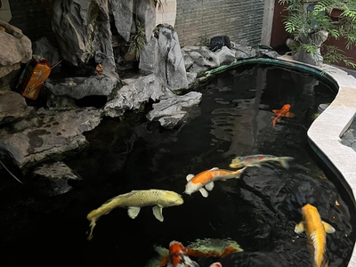 Bán Biệt thự Bán đảo Linh Đàm, Mặt tiền cực rộng, Siêu đẹp phong cách Châu Âu 3