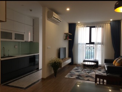 Cho thuê giá tốt nhất - ct8 mỹ đình 2 - 3 - 4 pn, có sẵn nội thất giá từ 15tr/th 1