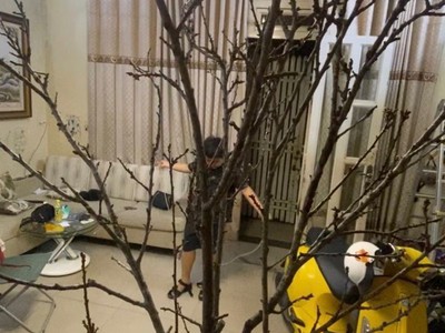 Bán nhà, lê văn thọ, gò vấp, hẻm tải, 50m2, 3 tầng, giá 4.4 tỷ. 2