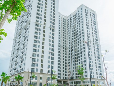 Căn hộ FPT Plaza 2 Đà Nẵng chỉ 570tr sở hữu ngay căn hộ 70.25m2 0