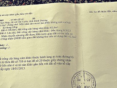 Chính chủ cần bán 2 lô đất có sẵn 9 phòng trọ và 1 kiot cho anh chị em đang muốn kinh doanh tại tân 1