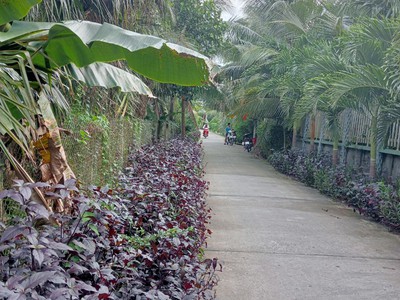 Chính chủ cần bán vườn giá rẻ siêu đầu tư. 0