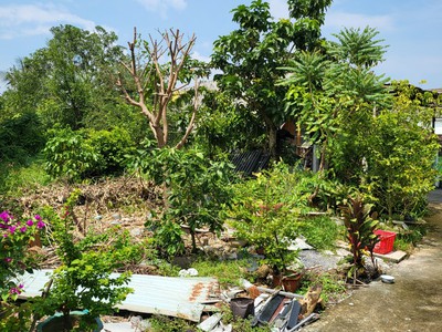 Cần bán gấp Lô Đất 161m2 Khu Biệt Thự , Tân Hiệp-Hóc Môn-HCM 1