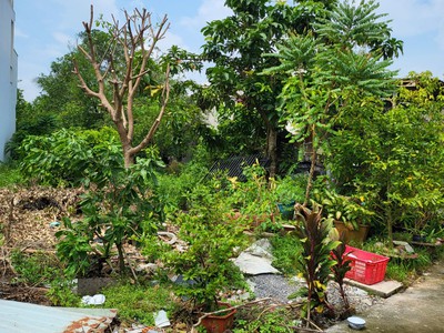 Cần bán gấp Lô Đất 161m2 Khu Biệt Thự , Tân Hiệp-Hóc Môn-HCM 3