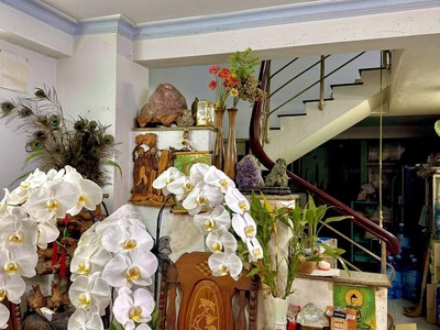 Sát quận 1 khu kinh doanh thời trang sầm uất cách 1 phút-siêu vip quận 5-cách 15m ra mt-hơn 6tỳ 0