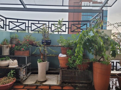 Bán nhà mặt tiền nguyễn kiệm phú nhuận- 4 tầng -186m2- ngang 7m x 23m nở hậu hơn 9m- chỉ : 36 tỷ 4