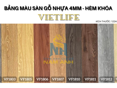 Sàn nhựa Vietlife Eco 0