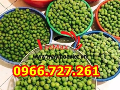 Máy cạo vỏ sấu, cóc, mã thầy Vinmax VMC1100 1