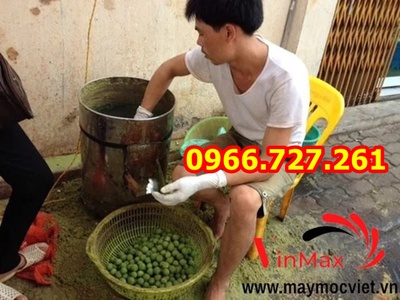 Máy cạo vỏ sấu, cóc, mã thầy Vinmax VMC1100 3