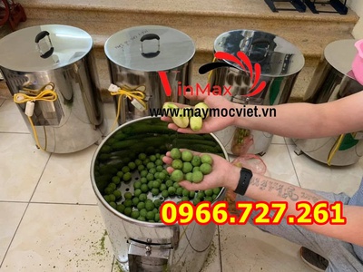 Máy cạo vỏ sấu, cóc, mã thầy Vinmax VMC1100 4
