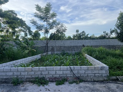 Cần tiền bán gấp 60m2 ful thổ cư bình yên  giá cắt lỗ 899triệu  không có lô thứ 2 giá ok như lô này 0