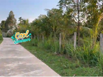 Chính chủ bán đất sổ hồng riêng mt đường nhựa trung tâm tân phú- đồng nai 0