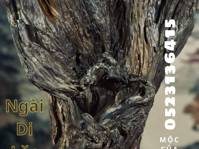 Ngài Di Lặc Hoan Hỷ gỗ Bách Xanh Mộc Châu thơm, nét rạng rỡ ấm áp 3