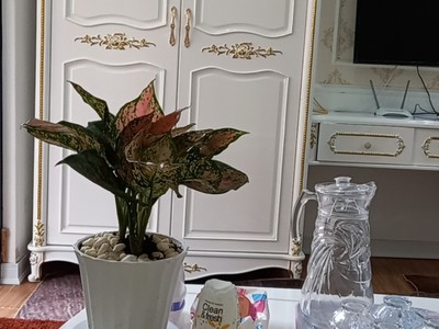 Cho thuê căn hộ Văn Cao 1 phòng ngủ, 6 triệu/ tháng  5