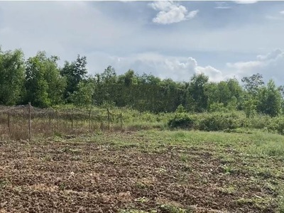 Chính chủ bán 5000m2 đất sổ đỏ ngay bvđk sóc trăng 0