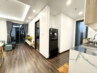 Cho thuê căn hộ Hoàng Huy Grand 2 ngủ cực đẹp 0