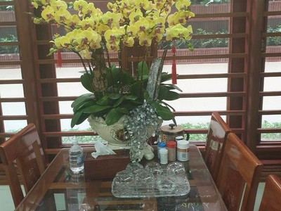 Bán nhà biệt thự đẹp khu VIP Duy Tân P. Hưng Dũng ở siêu đẹp, TP Vinh, Nghệ An 1