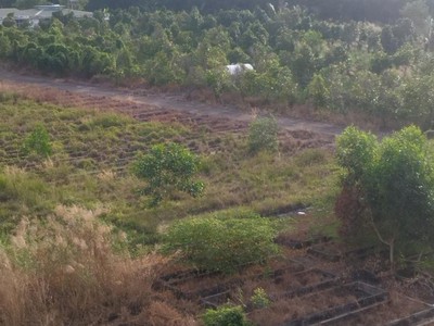 Chuyển nhượng 10.3HA đất  thổ cư: 6,3HA  ,có 6.000m2 nhà xưởng ở Thạnh Tân Phước, Tiền Giang 0