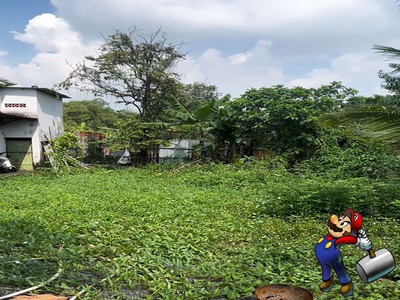 Lô đất đẹp full thổ - hxt an phú đông quận 12 - ngang gần 8m, 160m2, công nhận đủ, không lộ giới. 4