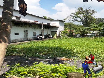 Lô đất đẹp full thổ - hxt an phú đông quận 12 - ngang gần 8m, 160m2, công nhận đủ, không lộ giới. 3