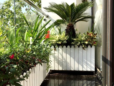 Trang trí ban công, sân vườn với chậu hàng rào gỗ nhựa composite trắng 0