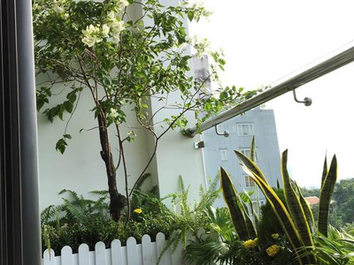 Trang trí ban công, sân vườn với chậu hàng rào gỗ nhựa composite trắng 2