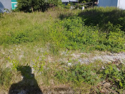 Đất mặt tiền hòa minh, liên chiểu, giá chỉ 2 tỷ 650 thương lượng nhiệt tình 0