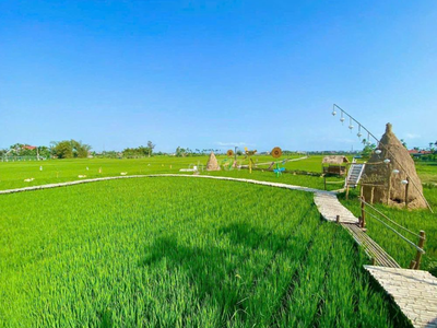 Chính Chủ Bán Nhanh Lô Đất Ngay Trung Tâm Hành Chính Huyện Hòa Vang 0