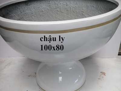 Cây công trình  -  Chậu trồng cây - Caycanhcayxanh.com 15