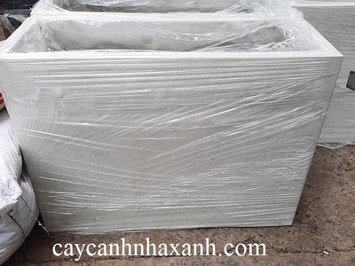 Cây công trình  -  Chậu trồng cây - Caycanhcayxanh.com 3