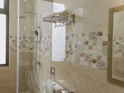 Khách sạn cho thuê mai diamond-38 đinh công tráng 2