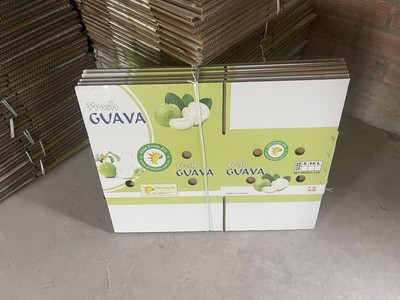 Cho thuê nhà 2 lầu ninesouth- 7tr/thg ,phước kiển, nhà bè, hồ chí minh 0