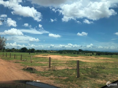 Bán nhanh lô đất 3756m2 xã Phan Hiệp, ngay đường liên huyện ra sân bay 0