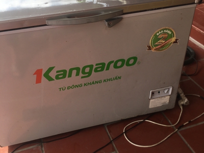 Tủ cấp đông một ngăn đông 0