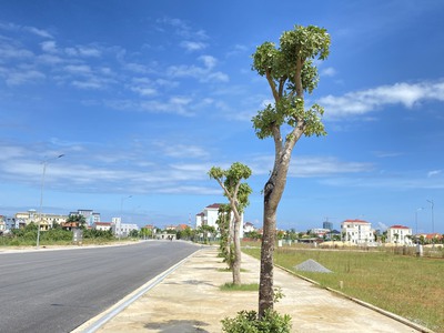Bán cặp đất nền ngay Toà Án Nhân dân TP Đồng Hới, giá rẻ nhất thị trường. Nhanh tay kẻo hết 3