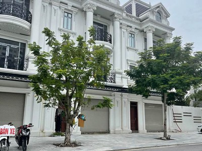 Bán shophouse Trường Thịnh Phát mặt đường Trương Văn Lĩnh ngay cạnh Lotte Vinh, NA 3