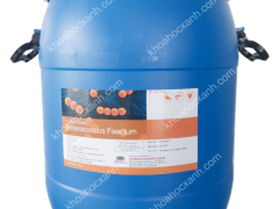 Enterococcus faecium :  1 x 10 9 CFU/gam   Vi sinh đơn dòng 0