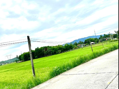 Đất Nền Sổ Đỏ Sát Ủy Ban Huyện Hòa Vang 0