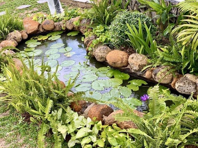 Cần Bán Gấp Nhà Tặng Sân Vườn Nghỉ Dưỡng Mới 100, Gía Rẻ Tại Bình Phước 5