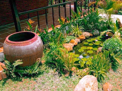 Cần Bán Gấp Nhà Tặng Sân Vườn Nghỉ Dưỡng Mới 100, Gía Rẻ Tại Bình Phước 4