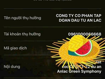 Mở bán biệt thự An Lạ Green Symphone - giá cực hấp dẫn , chỉ từ 133 triệu/m2 1