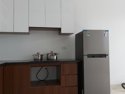 Cho thuê nhà nguyên căn tại Khu đô thị Nam Đầm Vạc, Khai Quang, Vĩnh Yên 1
