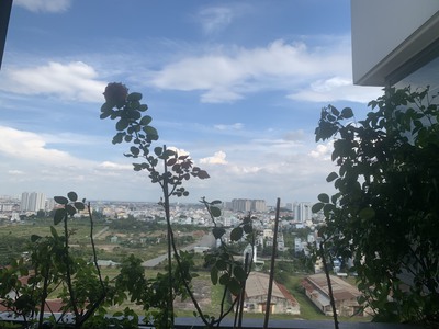 Chính Chủ Bán căn hộ Góc Him Lam Phú An 69m2, 2PN,2WC Giá 2.65 Tỷ Giá Tốt Nhất Him Lam. Liên Hệ 09 4