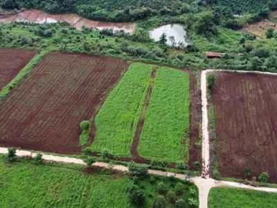 Bán đất  trong nông trại southern pleiku farm giá 200 triệu/1000m2 ck 10 2