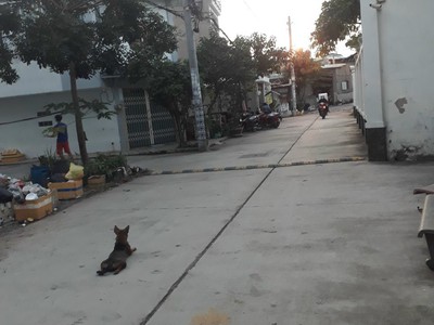 Bán đất đường tỉnh lộ 10 bình tân 4x22 full thổ hẻm 8m gần chợ hồ văn long xây dựng tự do. 2