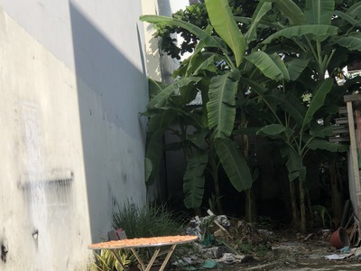 Chủ nhà gởi bán đất ngay mặt tiền 60m2 đường hồ học lãm, lộ 7m , giá 3.120 tỷ 0