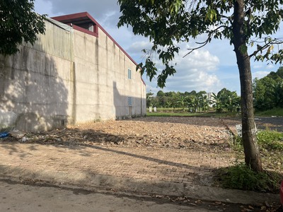 Bán đất khu biệt thự ven sông Sài Gòn, mát mẻ lộng gió, Dân cư đông, hàng loạt tiện ích có sẵn, SHR 3