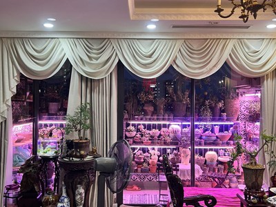 Cần bán gấp chcc tâm huyết toà shunshine gaden vĩnh tuy, hai bà trưng, hà nội 4